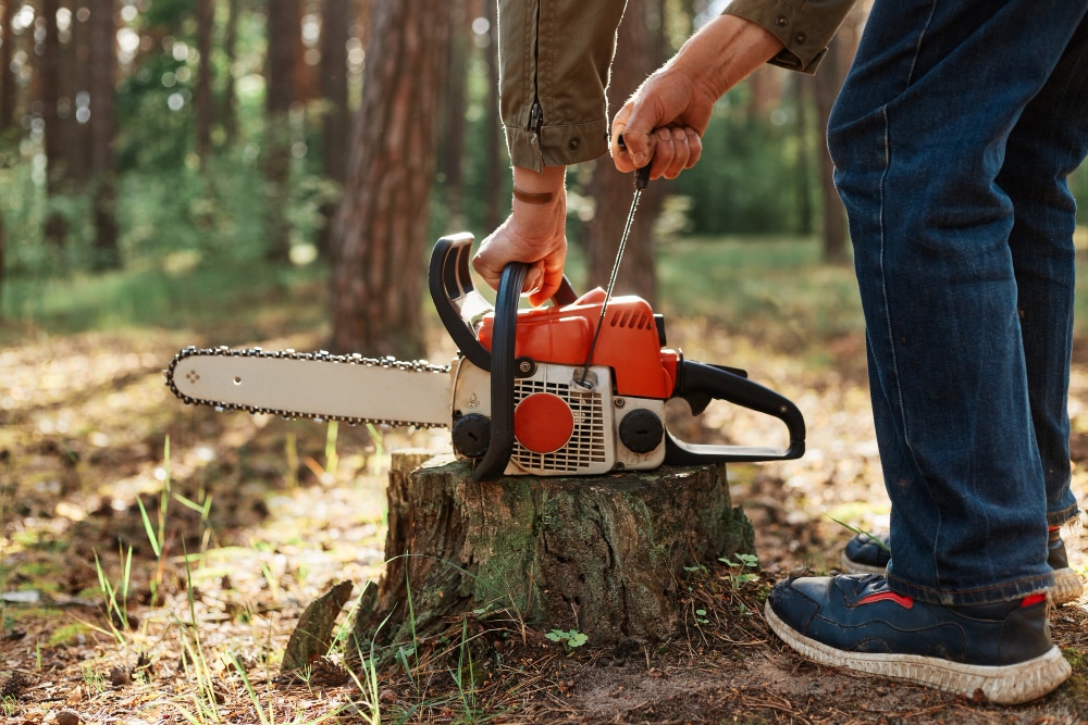 stump grinding